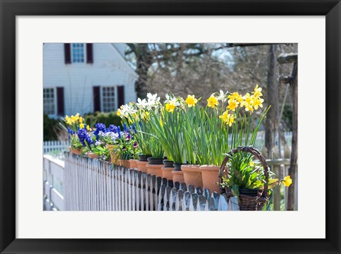 Framed Garden At Colonial Williamsburg, Virginia Print