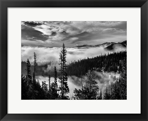 Framed Olympic National Park, Washington (BW) Print