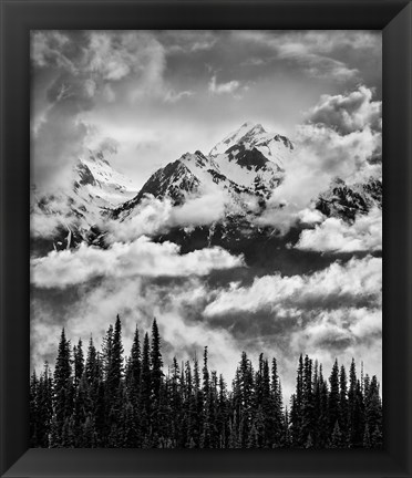 Framed Mount Carrie And Carrie Glacier, Washington (BW) Print