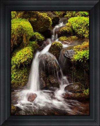 Framed Creek In Sol Duc Valley, Washington Print