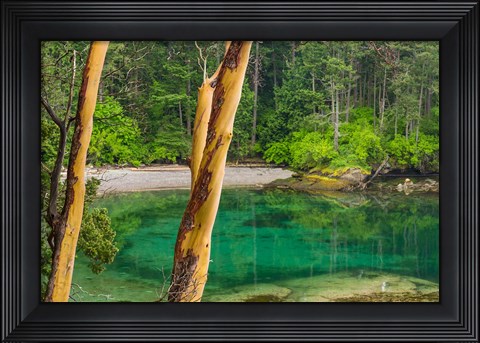 Framed Secluded Bay On Sucia Island, Washington State Print