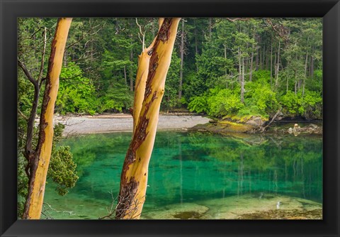 Framed Secluded Bay On Sucia Island, Washington State Print