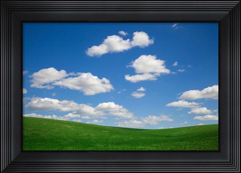 Framed Green Wheat Field Landscape, Washington State Print