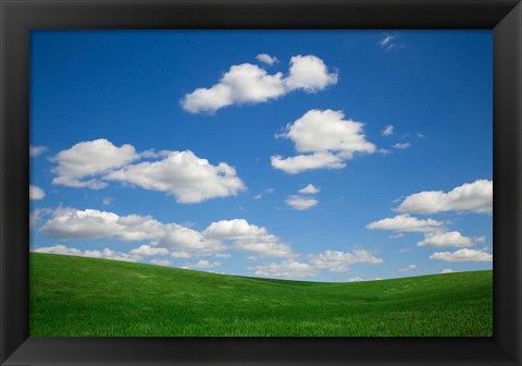 Framed Green Wheat Field Landscape, Washington State Print