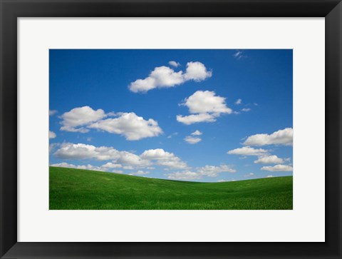 Framed Green Wheat Field Landscape, Washington State Print