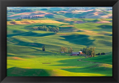 Framed Farmland Viewed From Steptoe Butte, Washington State Print