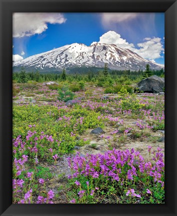 Framed Mount Saint Helens Landscape, Washington State Print