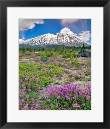 Framed Mount Saint Helens Landscape, Washington State Print