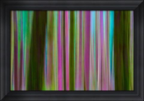 Framed Abstract Of Hoh Rain Forest At Dusk Print