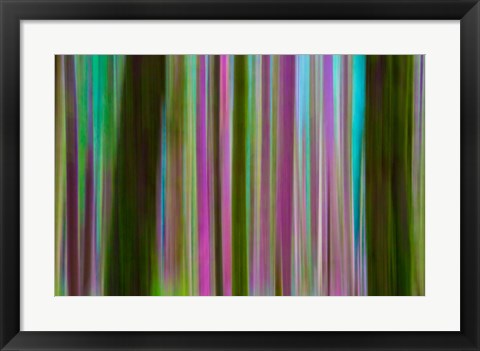 Framed Abstract Of Hoh Rain Forest At Dusk Print