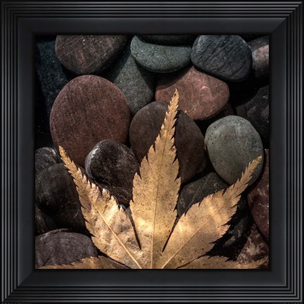 Framed Maple Leaf On Rocks Print