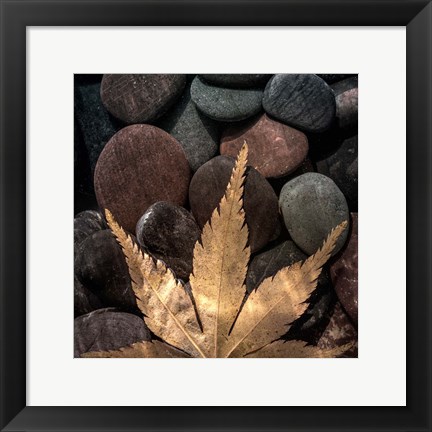 Framed Maple Leaf On Rocks Print