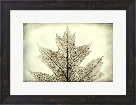 Framed Oak Leaf Abstract Print