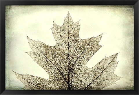 Framed Oak Leaf Abstract Print