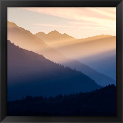 Framed Sunset In The Olympic National Forest Print