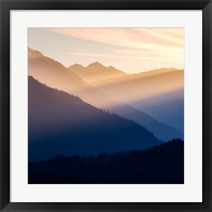 Framed Sunset In The Olympic National Forest Print