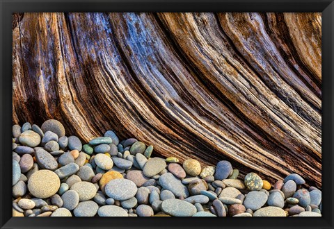 Framed Beach Rocks And Driftwood Print