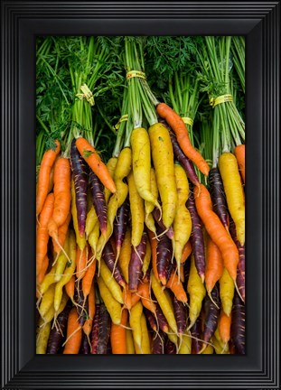Framed Display Of Carrot Varieties Print