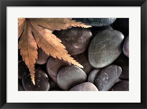 Framed Zen Maple Leaf On Rocks Print