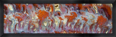 Framed Bull Canyon Agate Print