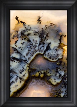 Framed Graveyard Point Plume Print