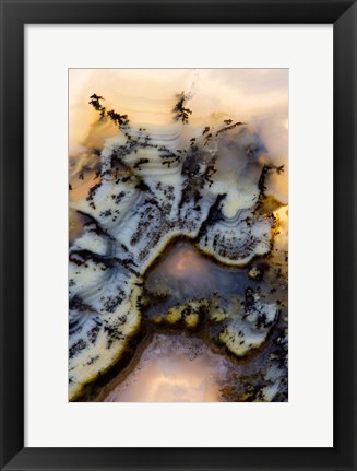 Framed Graveyard Point Plume Print