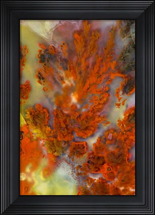 Framed Plume Agate Print