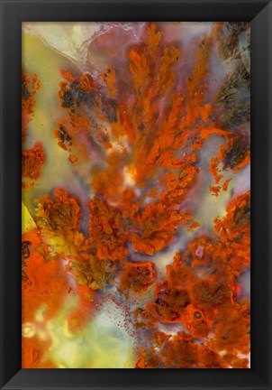 Framed Plume Agate Print