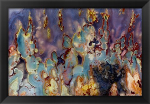 Framed Prudent Man Agate I Print