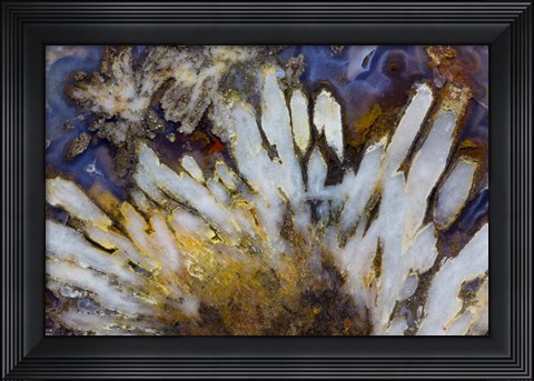 Framed Sagenite Agate Print