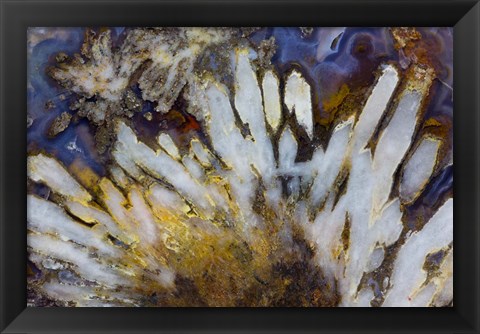 Framed Sagenite Agate Print