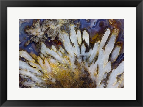 Framed Sagenite Agate Print