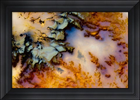 Framed Graveyard Point Plume Print