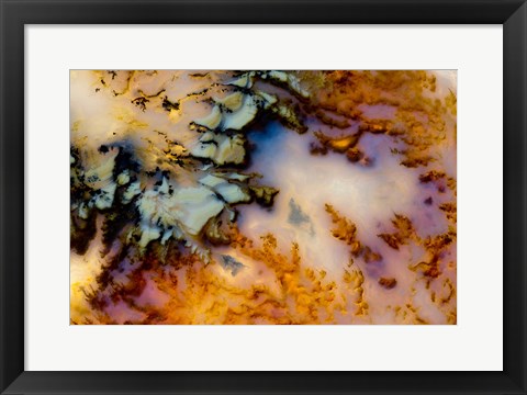 Framed Graveyard Point Plume Print