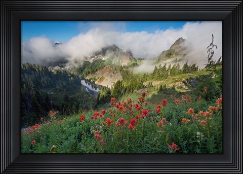 Framed Indian Paintbrush Landscape Near The Tatoosh Range Print