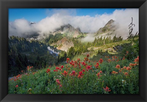 Framed Indian Paintbrush Landscape Near The Tatoosh Range Print