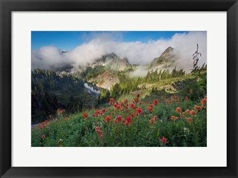 Framed Indian Paintbrush Landscape Near The Tatoosh Range Print