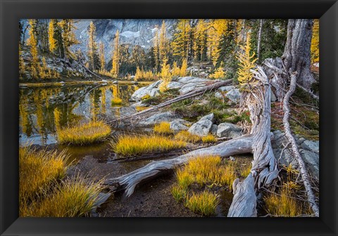 Framed Horseshoe Lake Landscape In The Alpine Lakes Wilderness Print