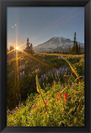 Framed Sunset At Mazama Ridge, Washington Print