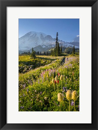 Framed Paradise Area Landscape Of Mt Rainier National Park Print