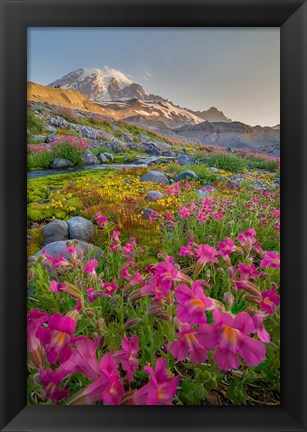 Framed Lewis&#39;s Monkeyflower Along The Panorama Trail Print
