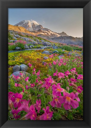 Framed Lewis&#39;s Monkeyflower Along The Panorama Trail Print