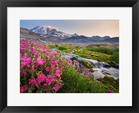 Framed Monkeyflowers Along The Paradise River Print