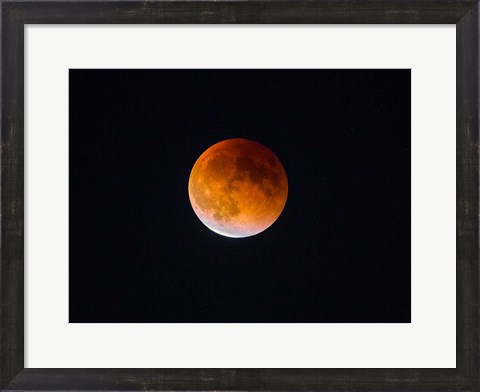 Framed Blood Moon In Seattle Print