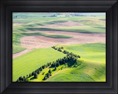 Framed Aerial Shot In The Palouse Region Of Eastern Washington Print