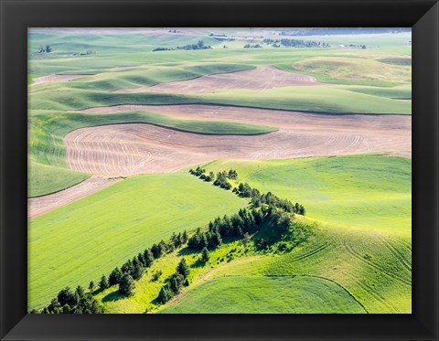 Framed Aerial Shot In The Palouse Region Of Eastern Washington Print