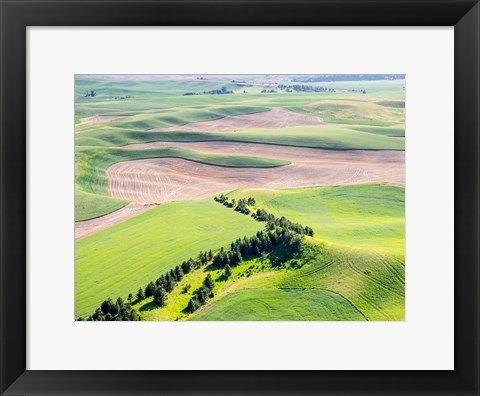 Framed Aerial Shot In The Palouse Region Of Eastern Washington Print