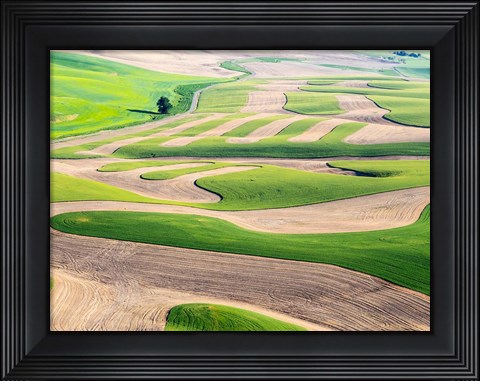 Framed Eastern Washington Landscape Print