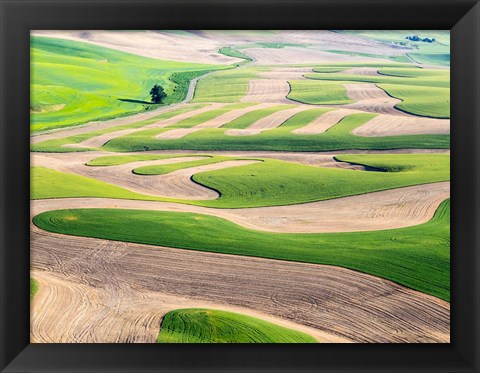 Framed Eastern Washington Landscape Print