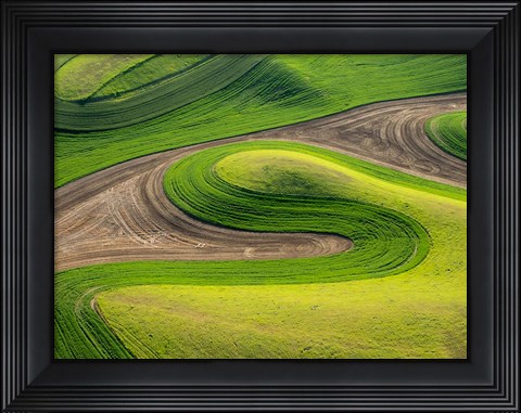 Framed Whitman County Aerial, Washington Print